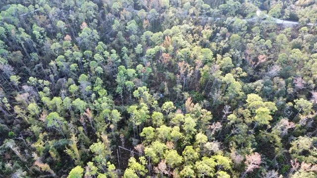 $35,000 | 465 Northeast River Ridge Way, Lee, FL 32059