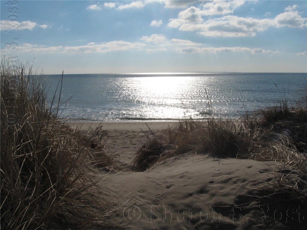 659 Succotash Road South Kingstown, RI 02879 - Photo 26 of 28