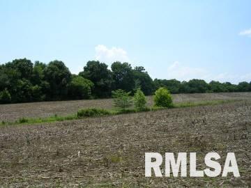 - Rice Hill Road Grantsburg, IL 62943 - Photo 2 of 3 Gallery Image 2