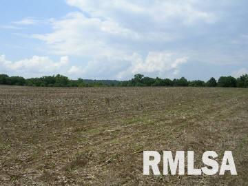 - Rice Hill Road Grantsburg, IL 62943 - Photo 3 of 3 Gallery Image 3