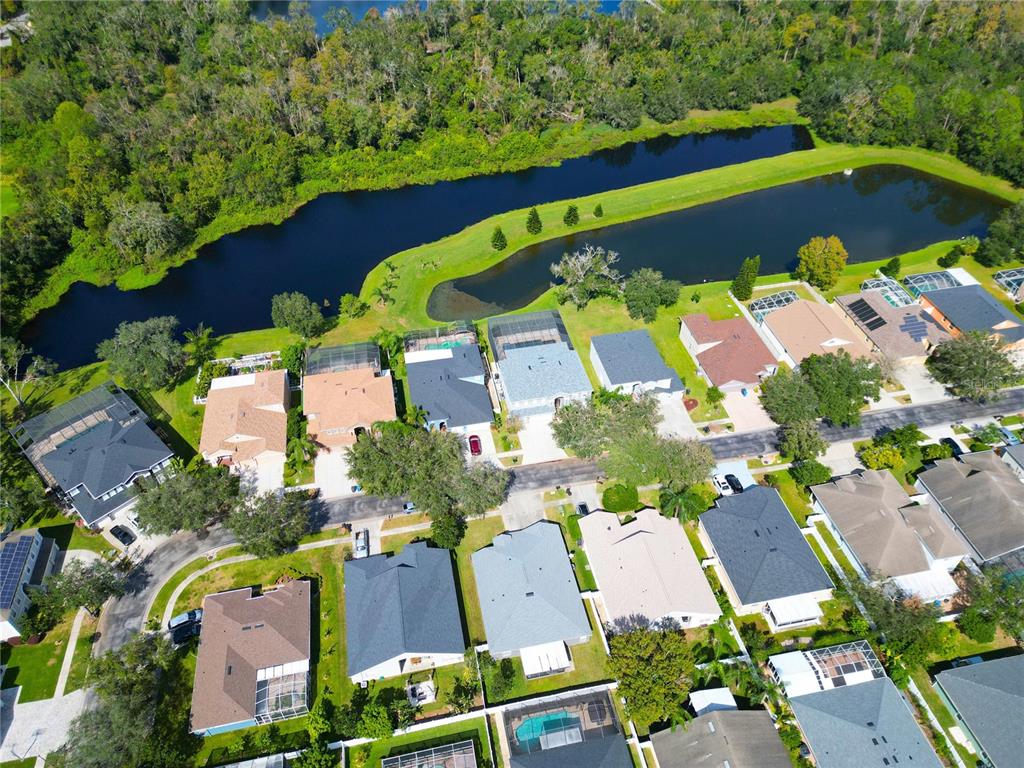5925 Browder Road Tampa, FL 33625 - Photo 6 of 72 Gallery Image 6