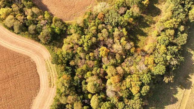 a view of a outdoor space