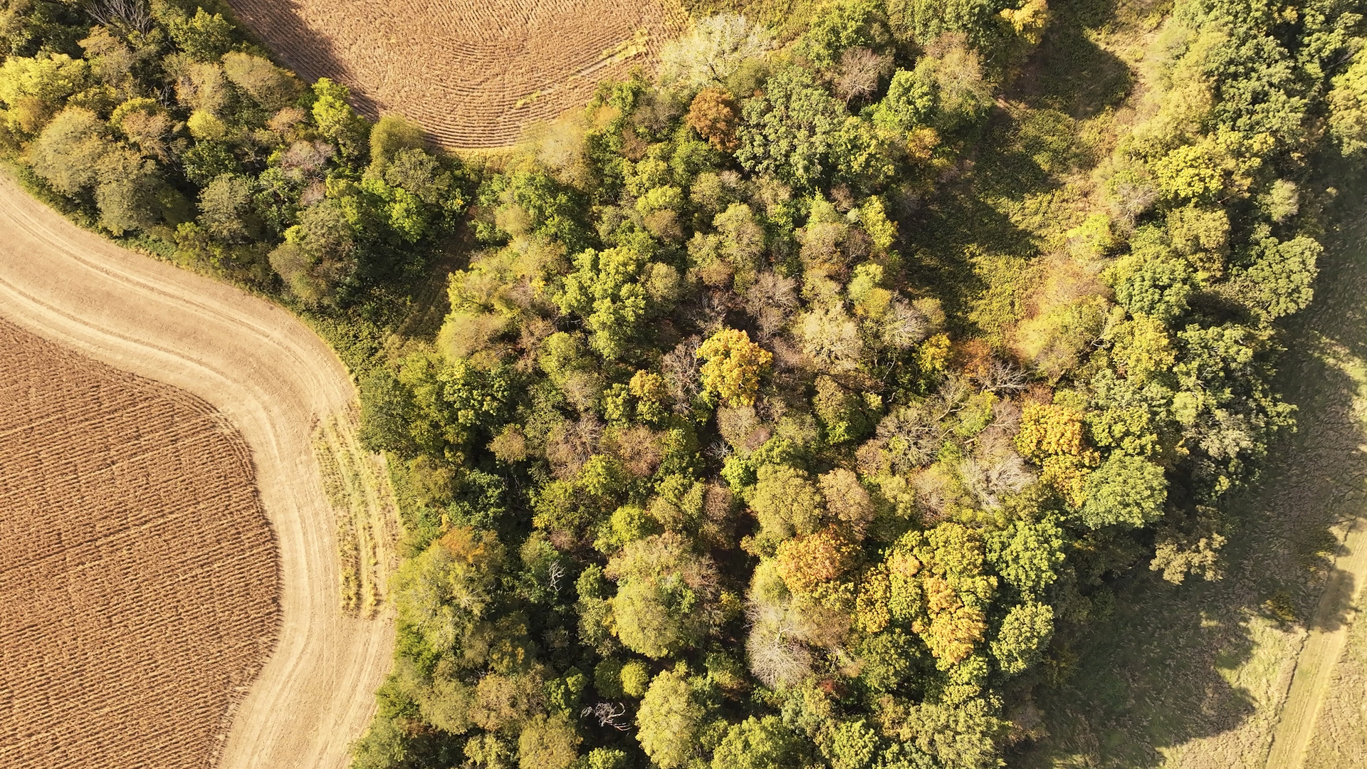 701 East 1175th Street Henry, IL 61537 - Photo 12 of 19 a view of a yard