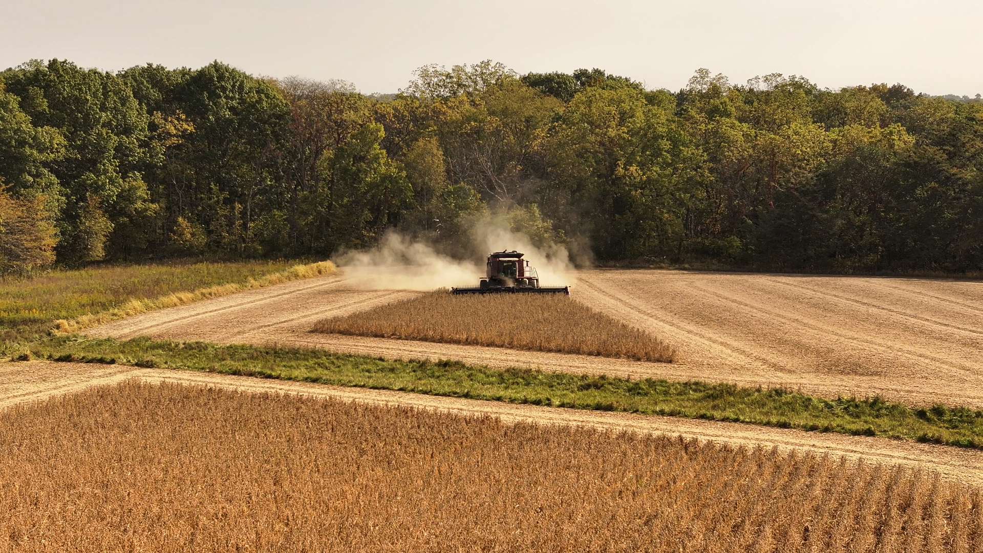 701 East 1175th Street Henry, IL 61537 - Photo 13 of 19 a view of a outdoor space