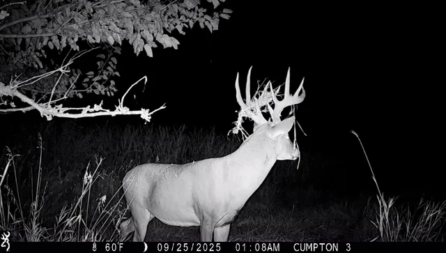 a close view of light fixtures