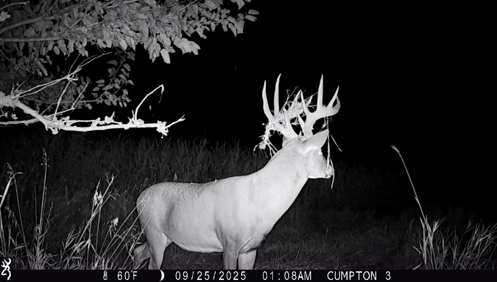 701 East 1175th Street Henry, IL 61537 - Photo 16 of 19 a vase of flowers sitting on a table