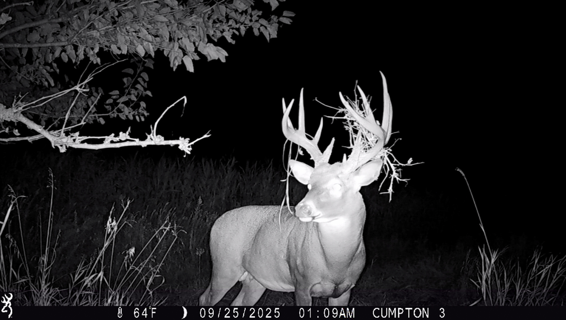 701 East 1175th Street Henry, IL 61537 - Photo 17 of 19 a close view of light fixtures