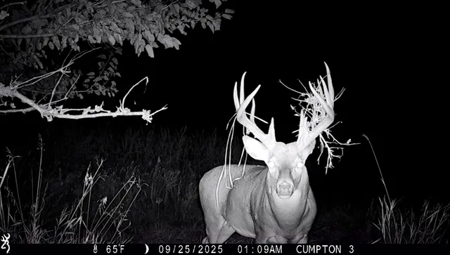 $1,244,000 | 701 East 1175th Street, Henry, IL 61537