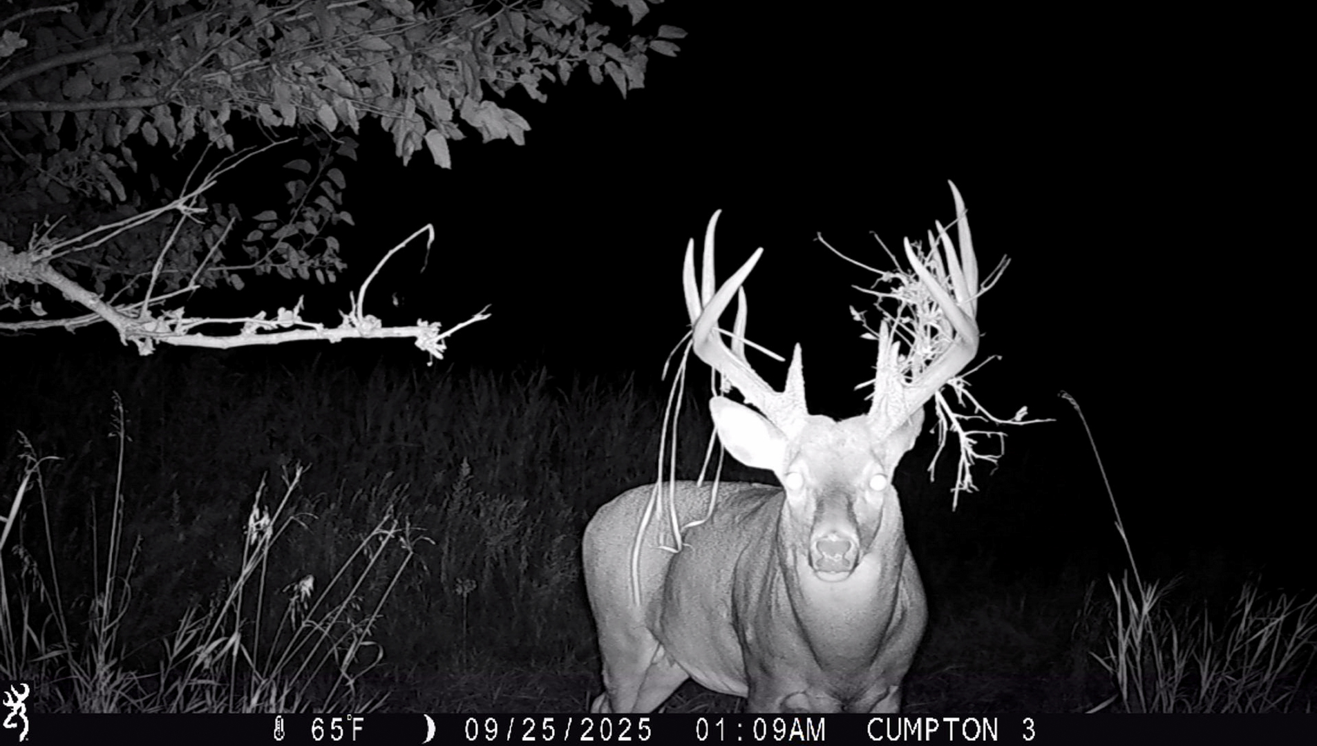 701 East 1175th Street Henry, IL 61537 - Photo 18 of 19