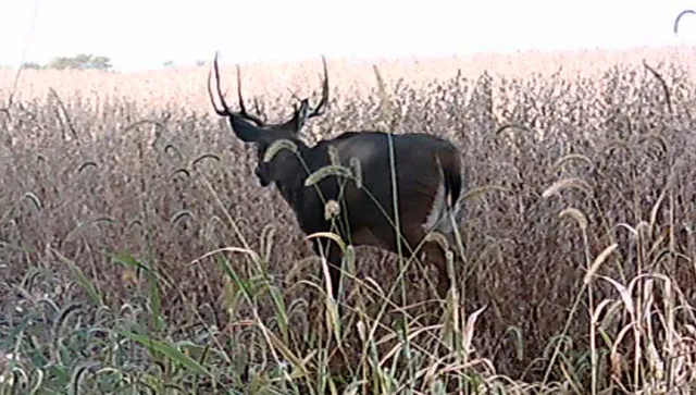 $1,244,000 | 701 East 1175th Street, Henry, IL 61537