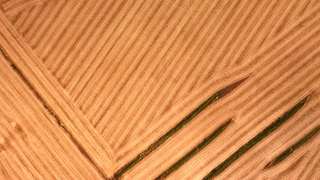 a close view of shower curtain