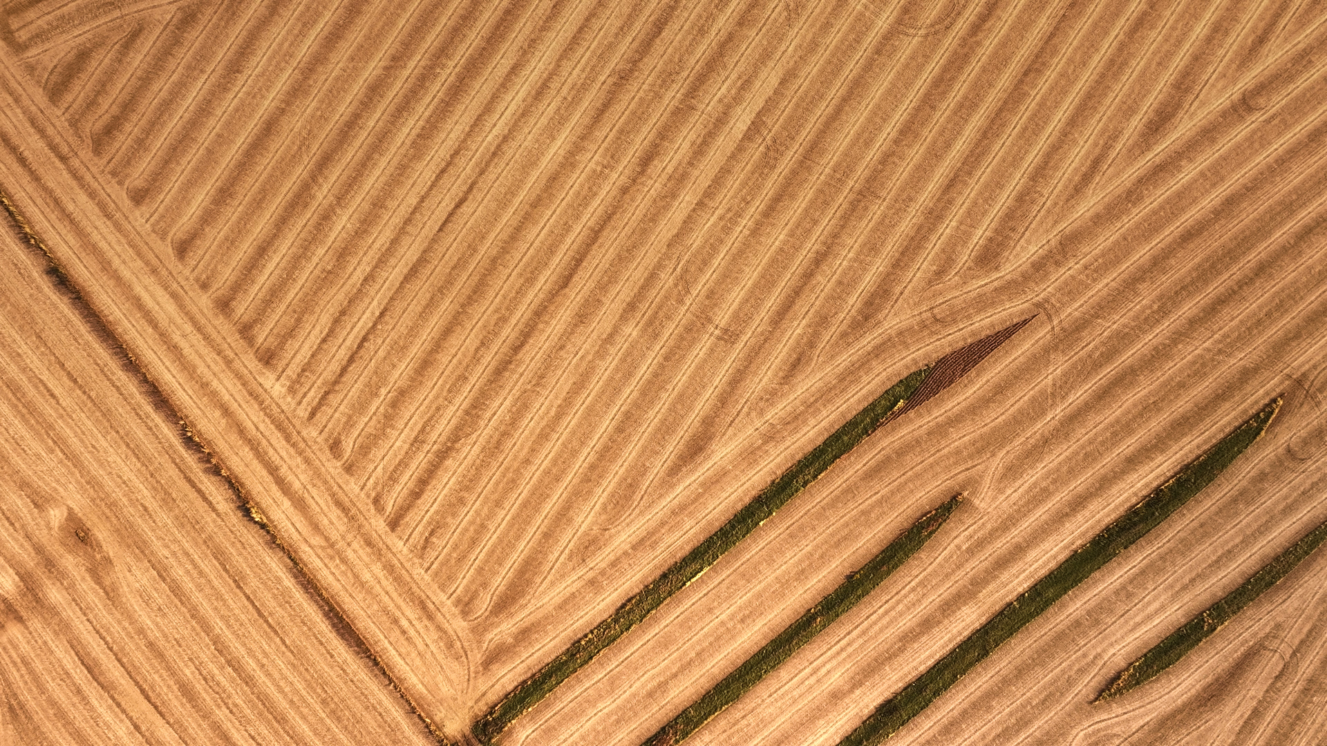 701 East 1175th Street Henry, IL 61537 - Photo 4 of 19 a close view of shower curtain