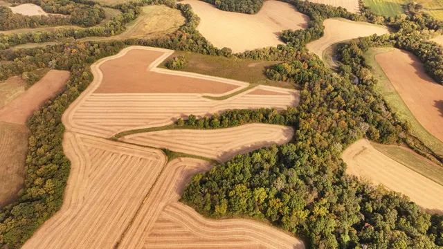 a view of wooden floor