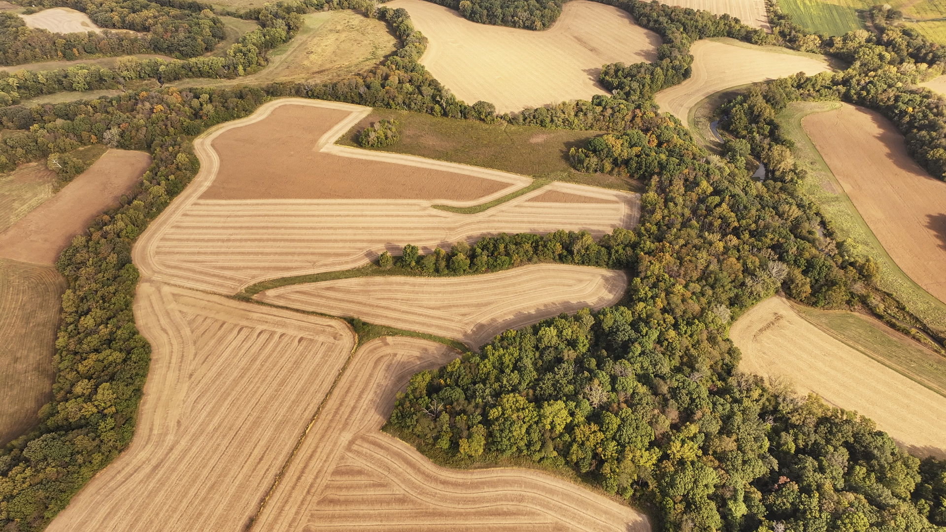 701 East 1175th Street Henry, IL 61537 - Photo 5 of 19 a view of wooden floor
