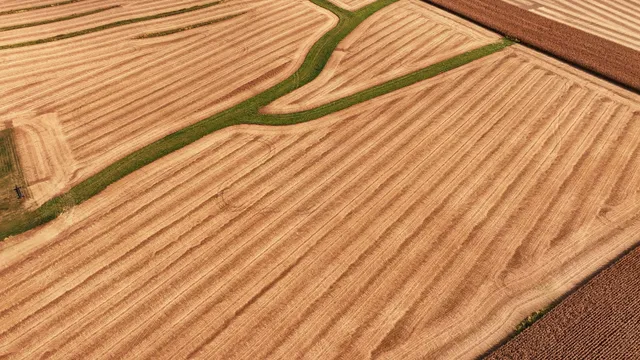 a view of wooden floor