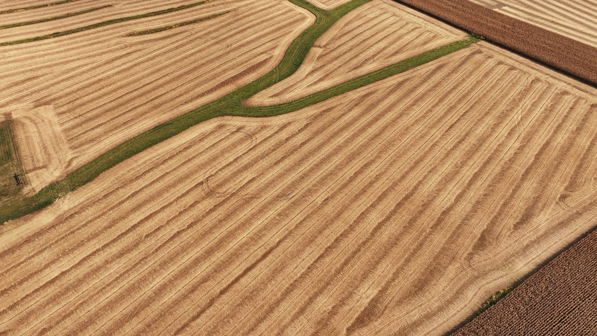 701 East 1175th Street Henry, IL 61537 - Photo 6 of 19 a view of wooden floor