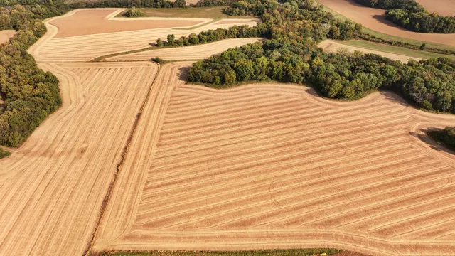 a view of a outdoor space