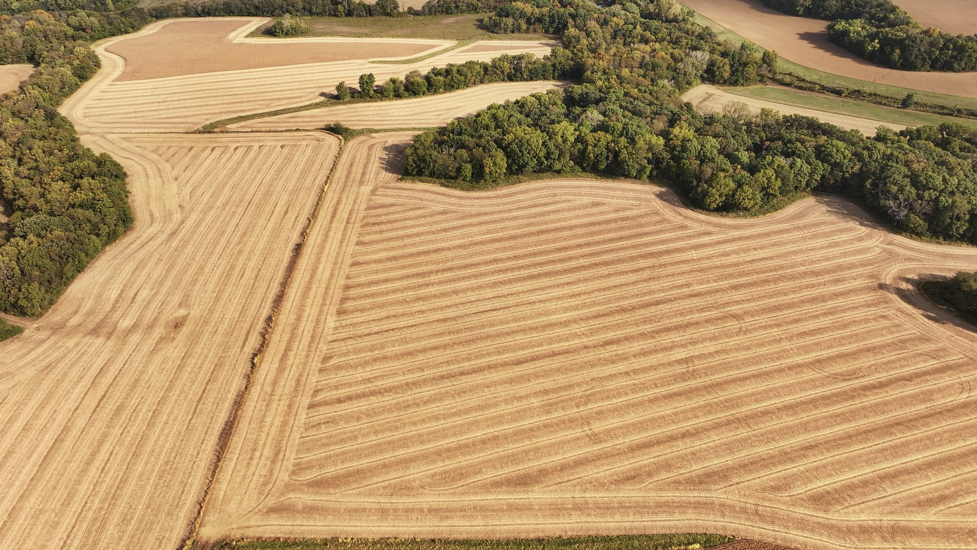 701 East 1175th Street Henry, IL 61537 - Photo 7 of 19 a view of a outdoor space