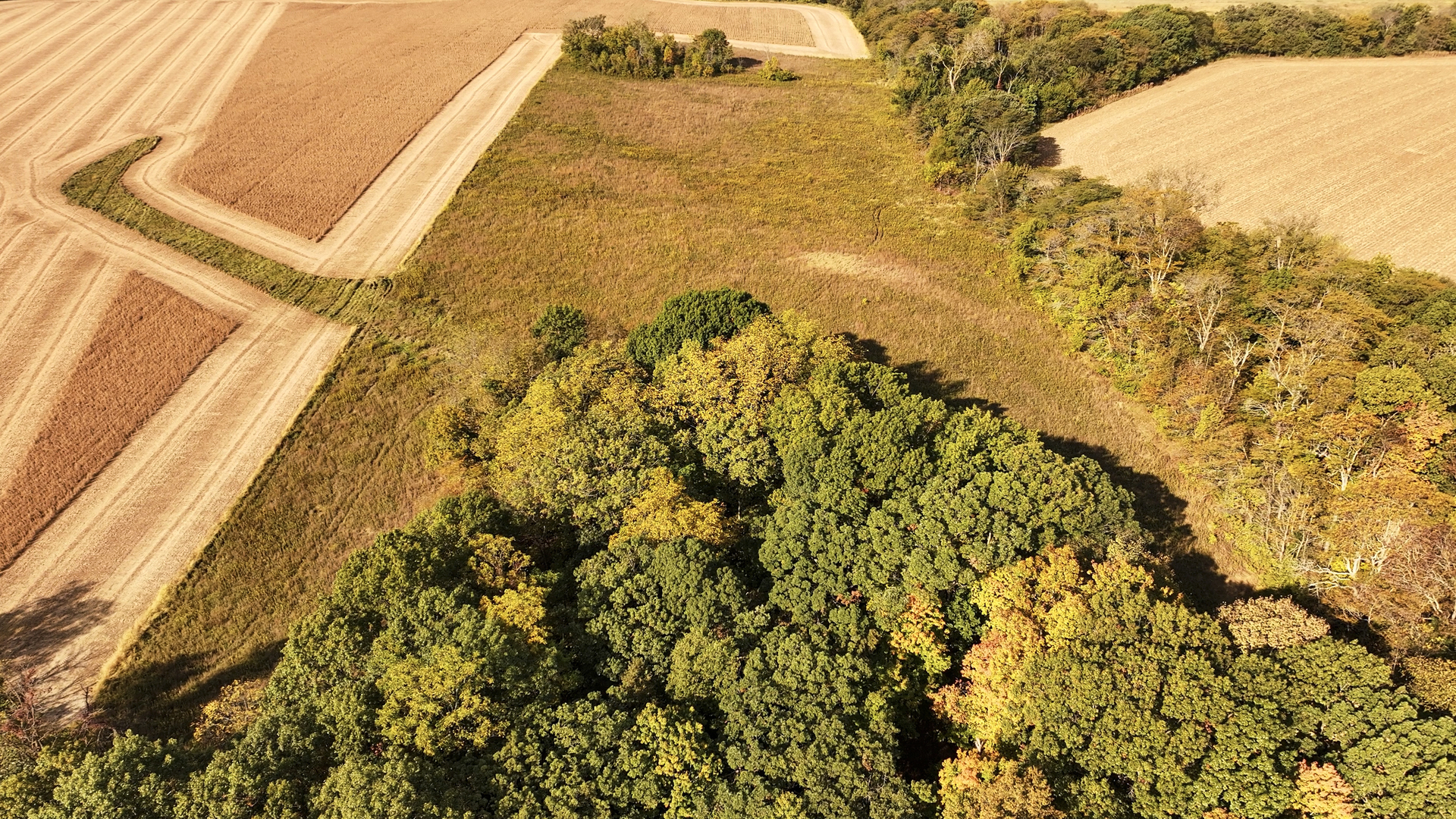 701 East 1175th Street Henry, IL 61537 - Photo 8 of 19