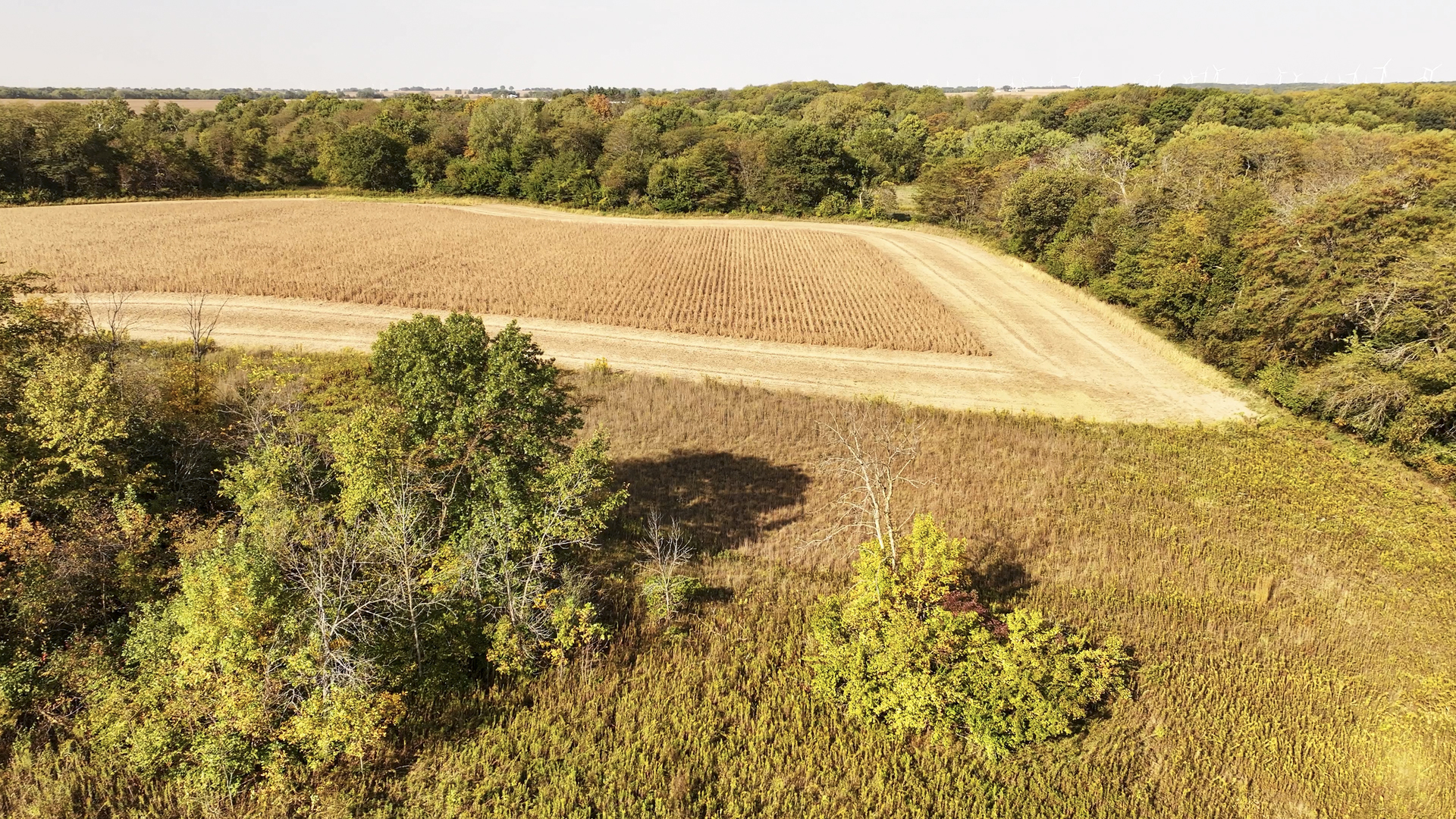 701 East 1175th Street Henry, IL 61537 - Photo 9 of 19 a view of a field with an ocean view