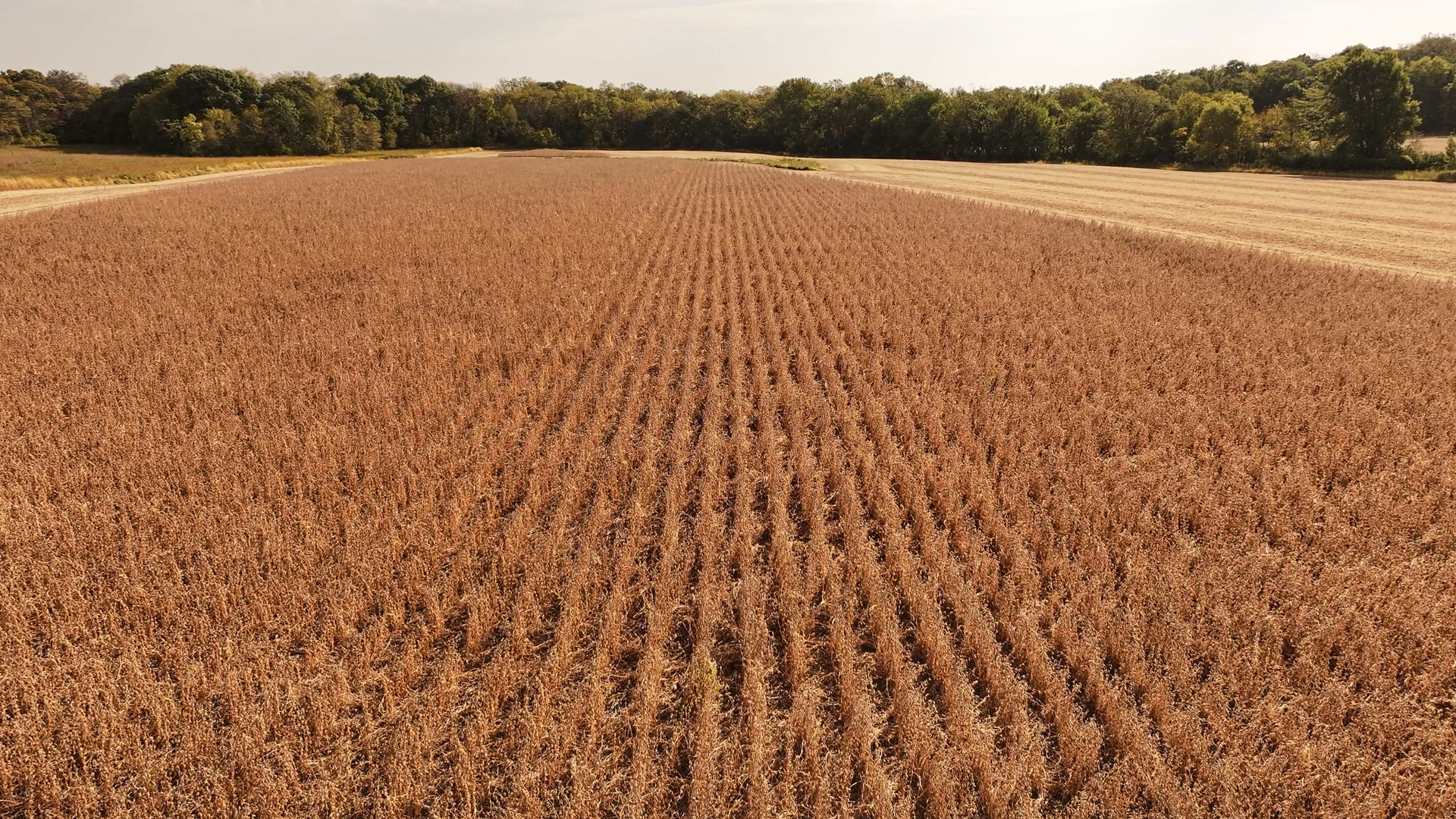 701 East 1175th Street Henry, IL 61537 - Photo 10 of 19 a view of an ocean and beach