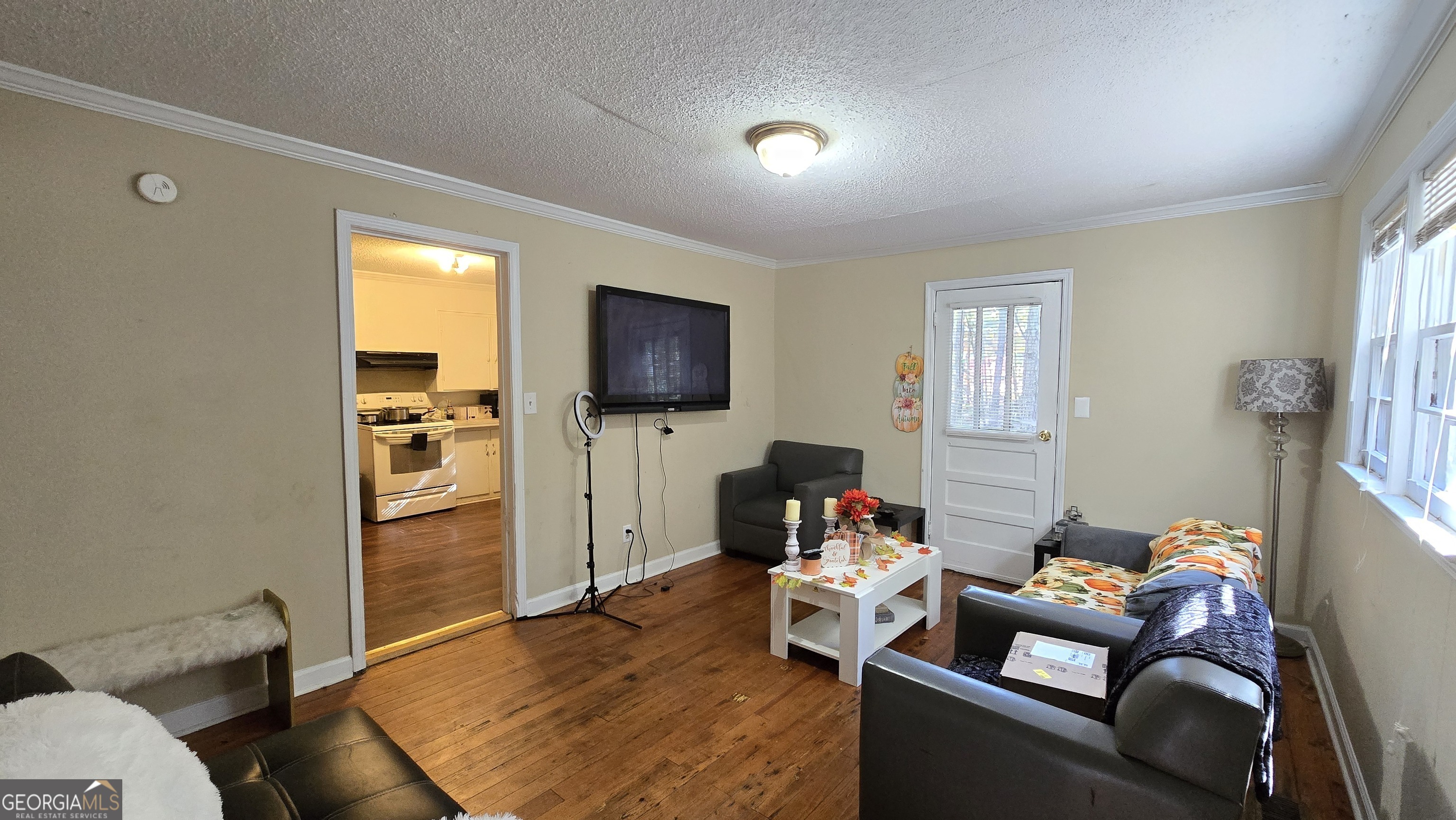 377 Dock Hyde Road Carrollton, GA 30116 - Photo 6 of 31 a living room with furniture and a flat screen tv