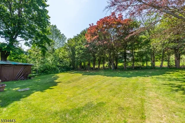 a view of a swimming pool with a yard