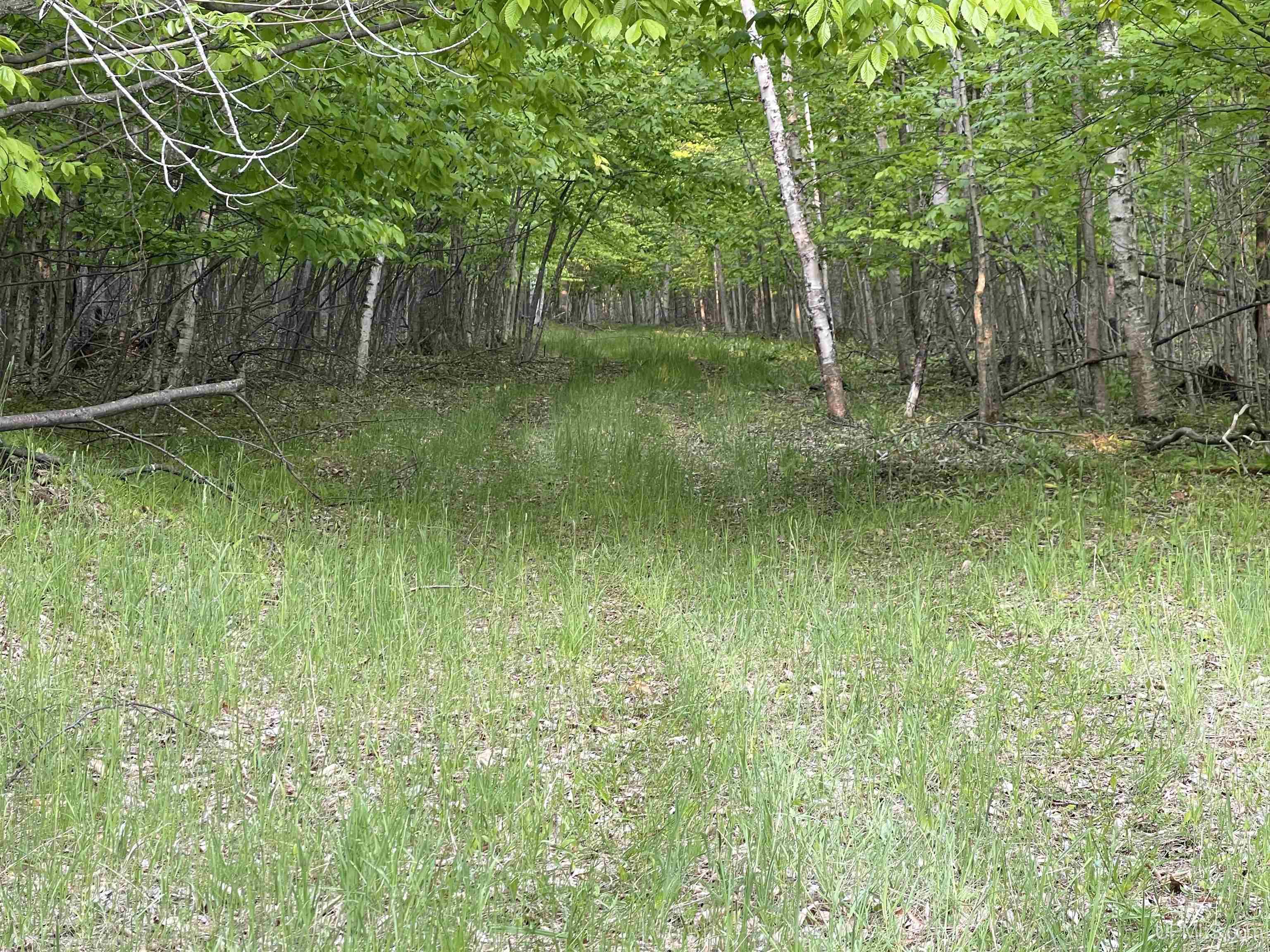 9.5 9.5 Road Gladstone, MI 49837 - Photo 5 of 61