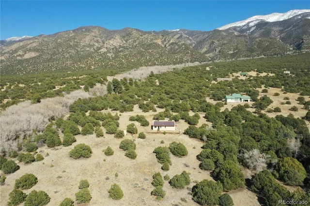 a view of a forest with lots of trees
