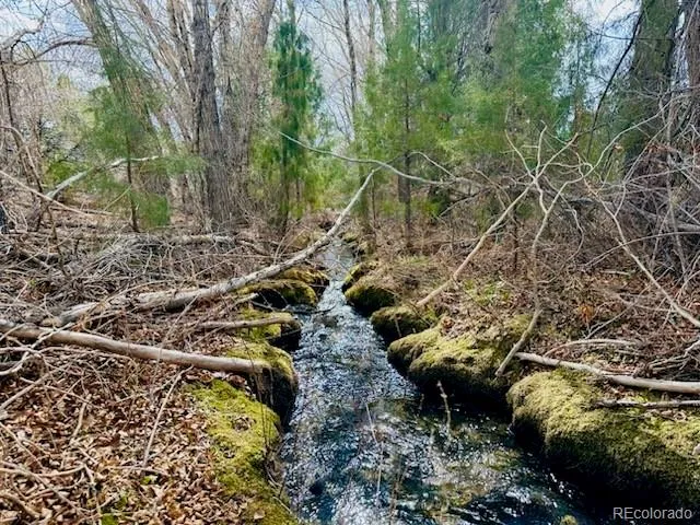 $469,000 | 21 Hampton Run, Mosca, CO 81146