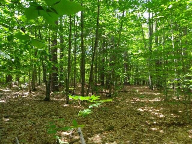 0 Brown Cove Road Windham, ME 04062 - Photo 4 of 6 greenlawothertop