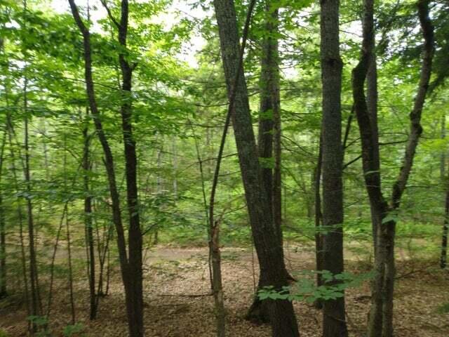 0 Brown Cove Road Windham, ME 04062 - Photo 5 of 6 greenlawtop