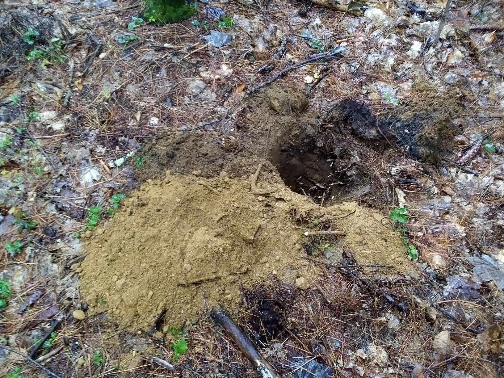 0 Brown Cove Road Windham, ME 04062 - Photo 6 of 6 test pit