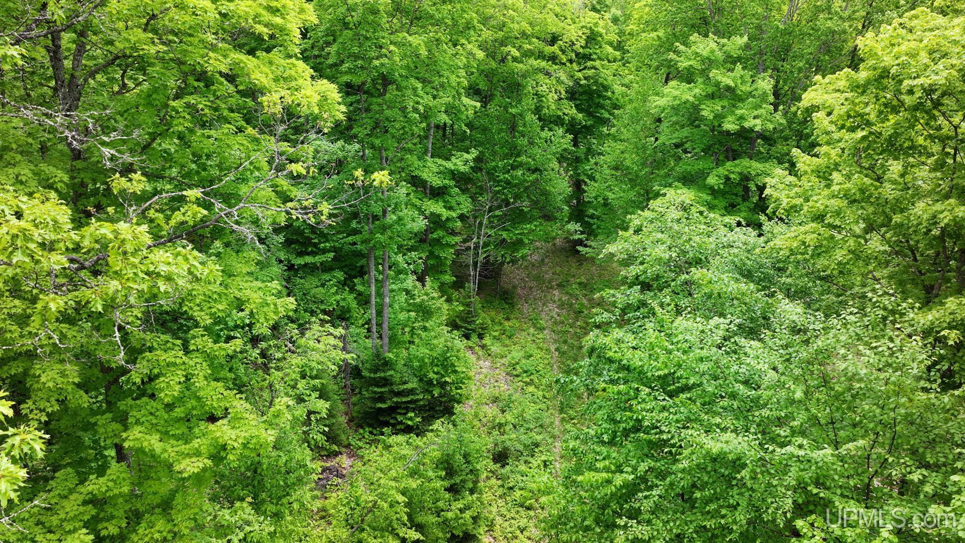 Tbd Tbd Co Road Negaunee, MI 49866 - Photo 44 of 47