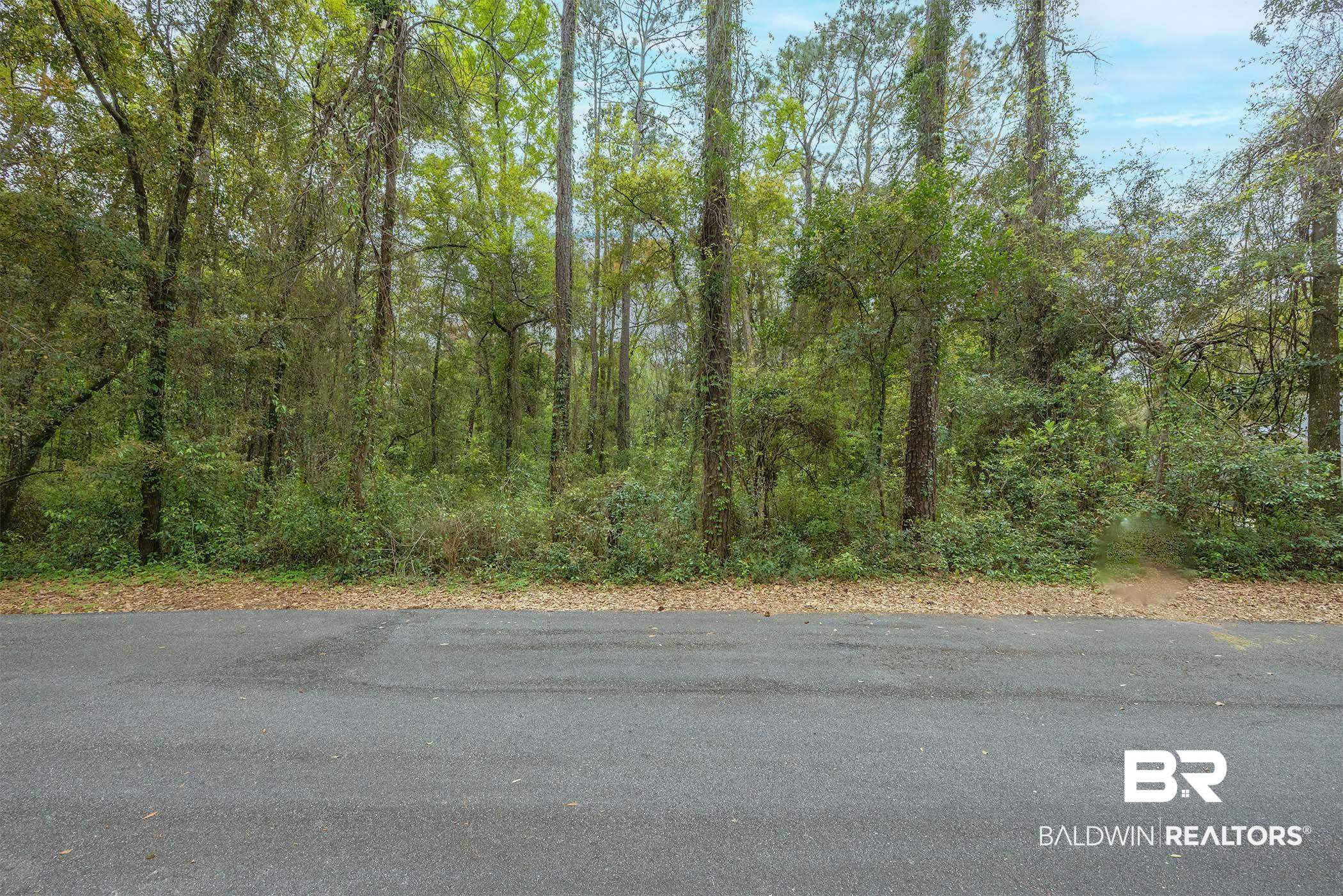 0 Wharf Street Daphne, AL 36526 - Photo 17 of 21