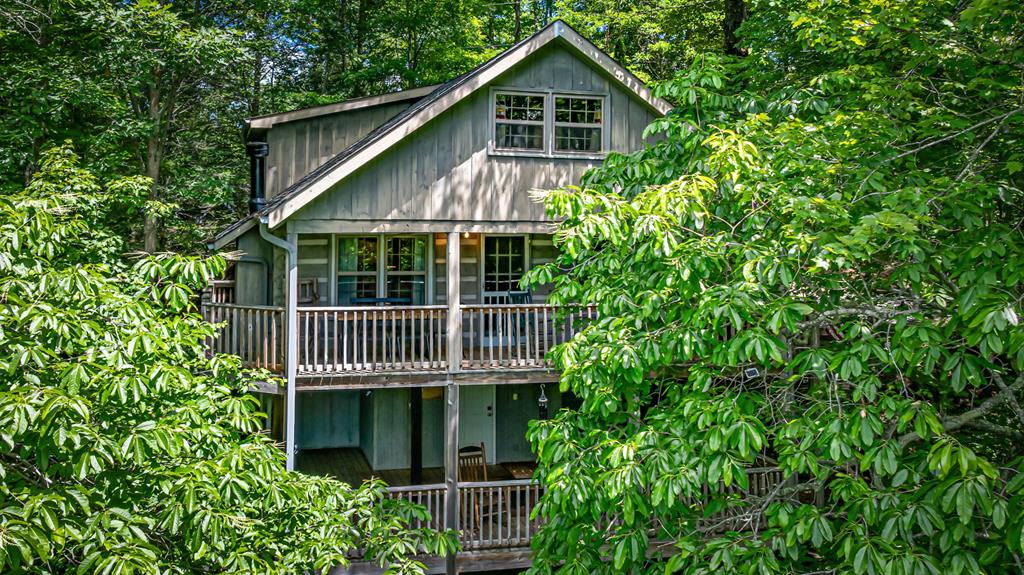 380 Branch Creek Road Blue Ridge, GA 30513 - Photo 1 of 41 a view of outdoor space yard and deck