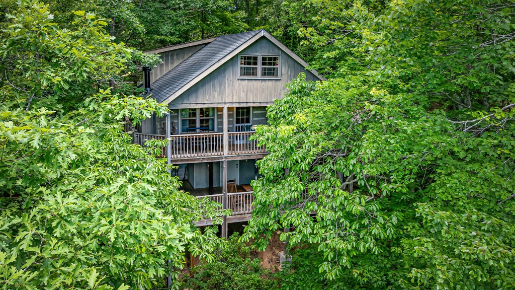 380 Branch Creek Road Blue Ridge, GA 30513 - Photo 9 of 41