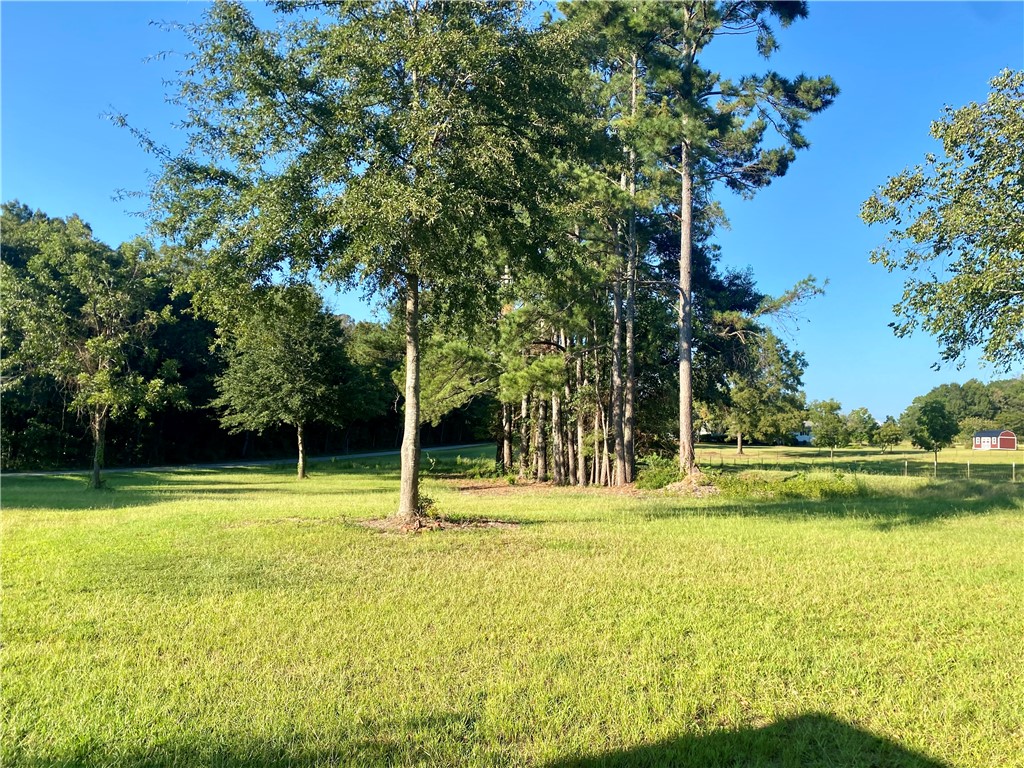 327 Five Forks Road Anderson, SC 29621 - Photo 11 of 31 Mature trees dot this sprawling green parcel under a clear blue sky.