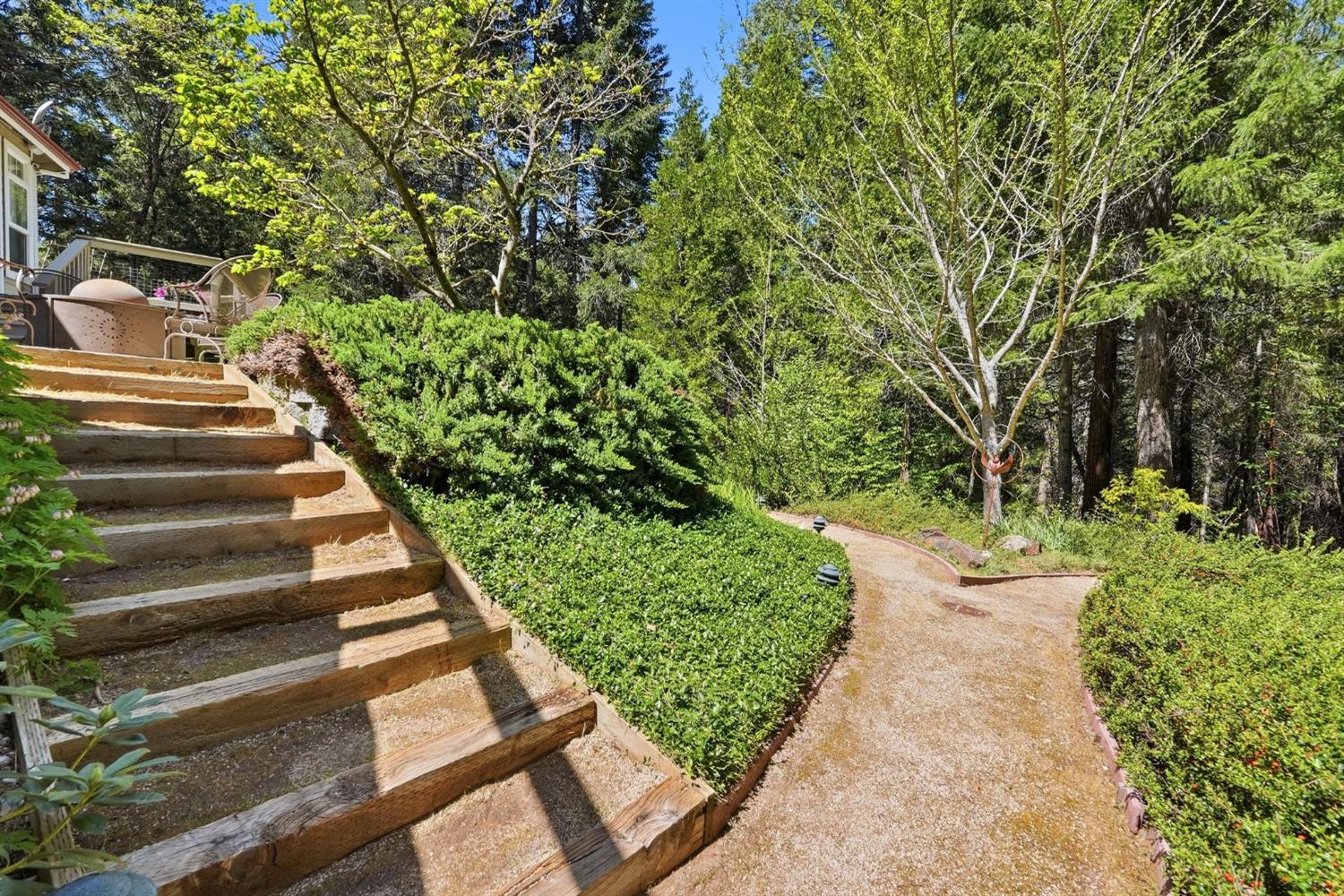 10711 Murchie Mine Road Nevada City, CA 95959 - Photo 57 of 71 a view of a garden with pathway