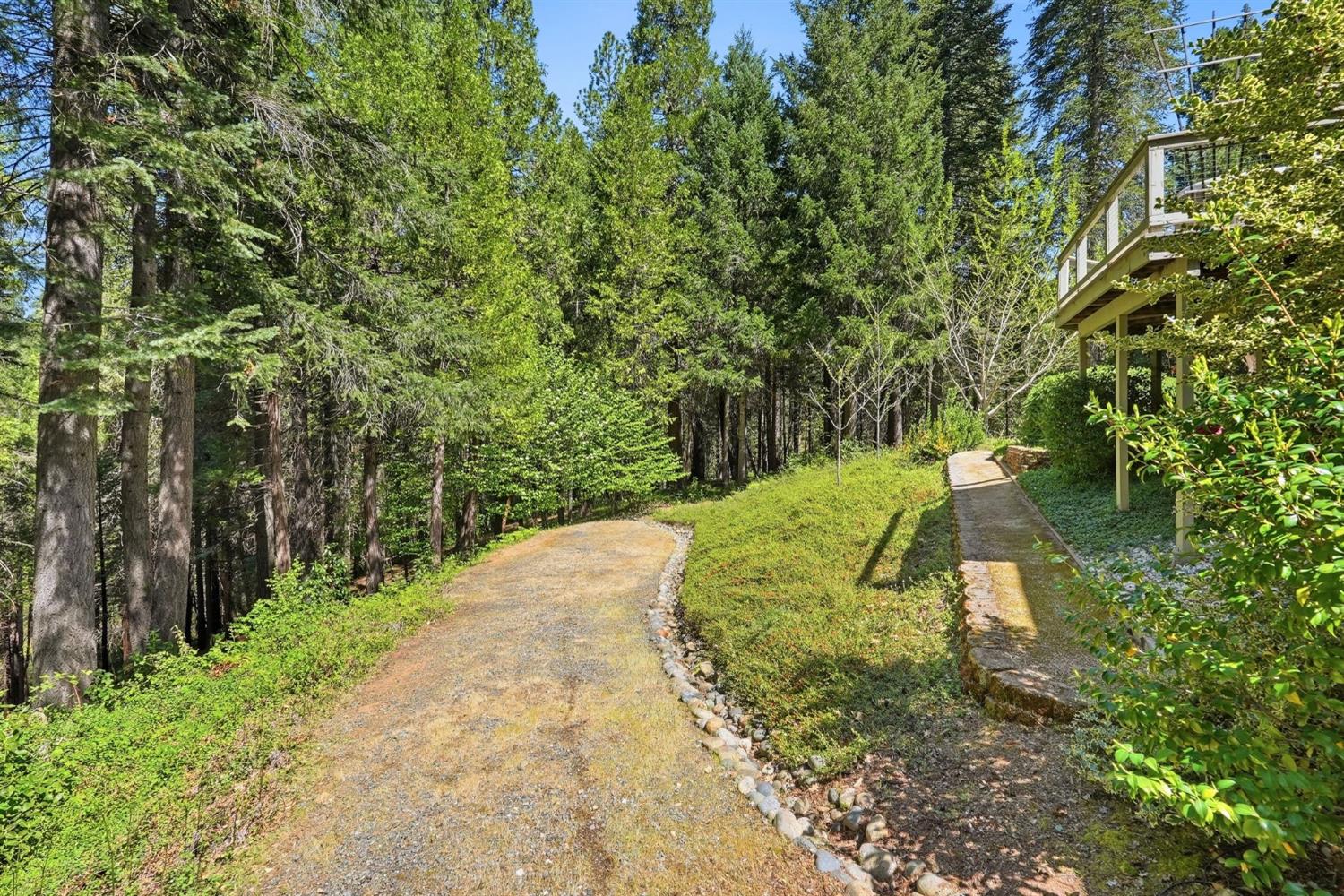 10711 Murchie Mine Road Nevada City, CA 95959 - Photo 59 of 71