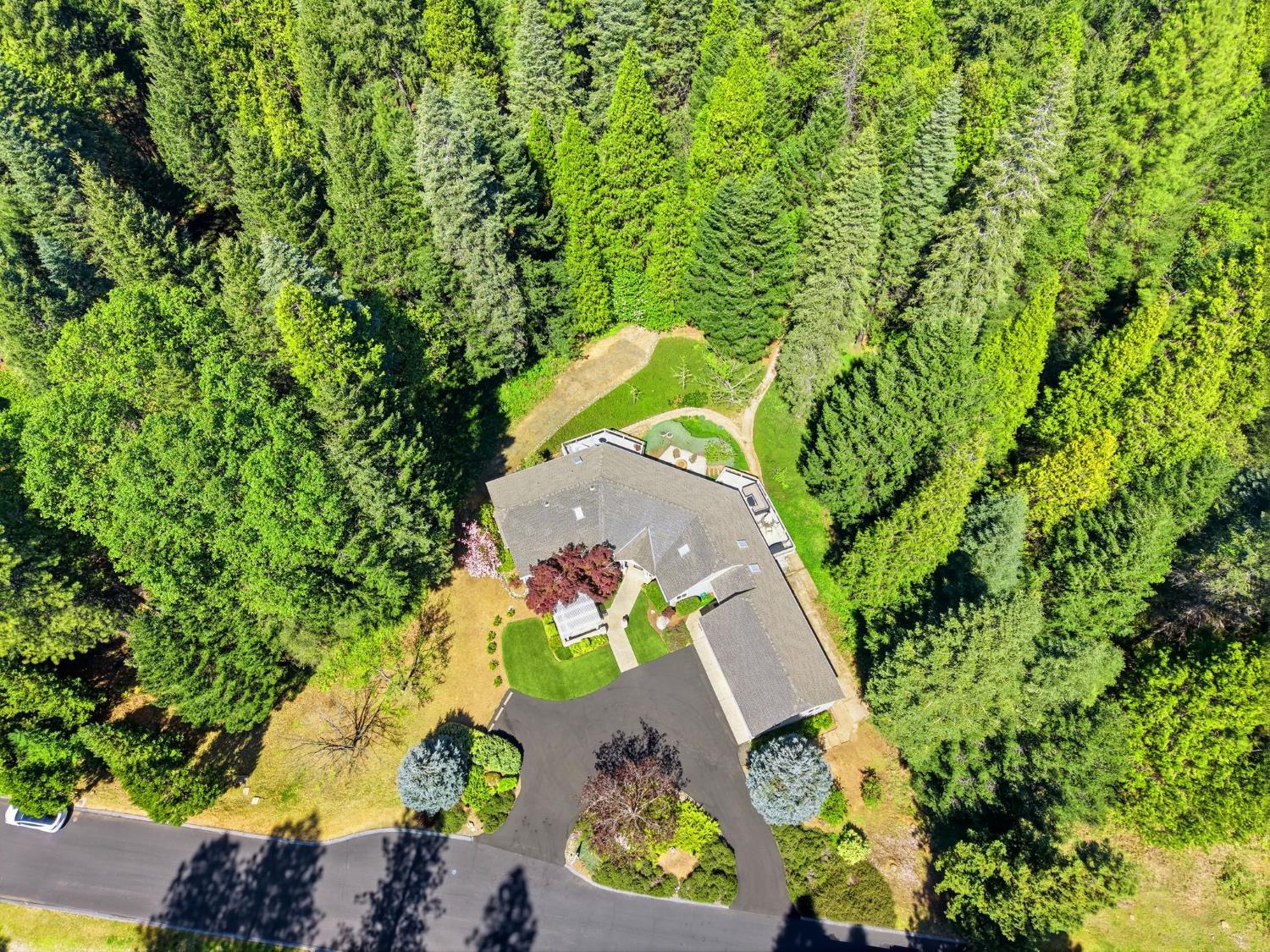 10711 Murchie Mine Road Nevada City, CA 95959 - Photo 65 of 71