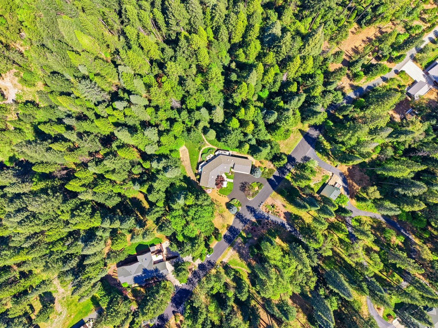 10711 Murchie Mine Road Nevada City, CA 95959 - Photo 67 of 71