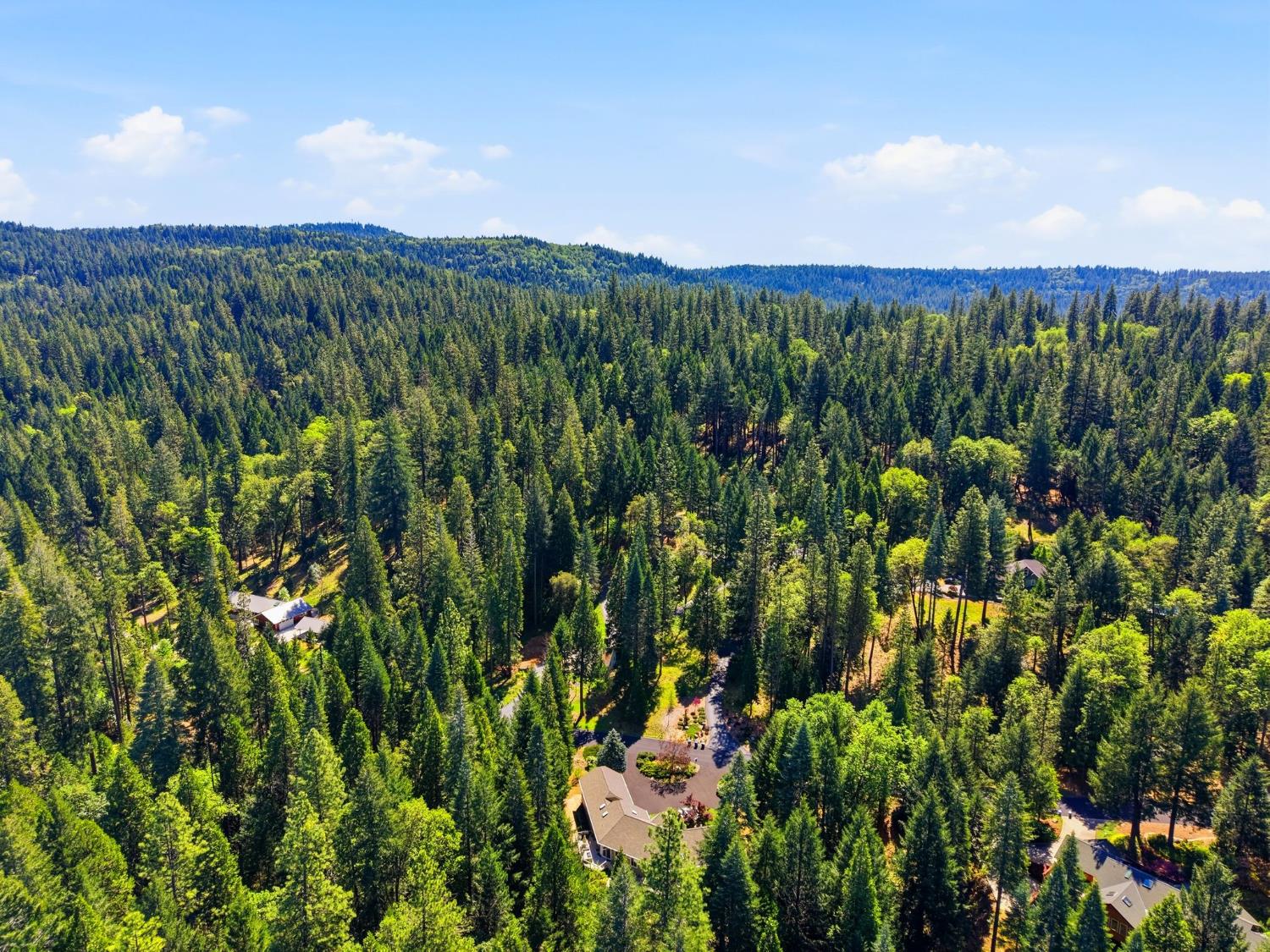 10711 Murchie Mine Road Nevada City, CA 95959 - Photo 68 of 71