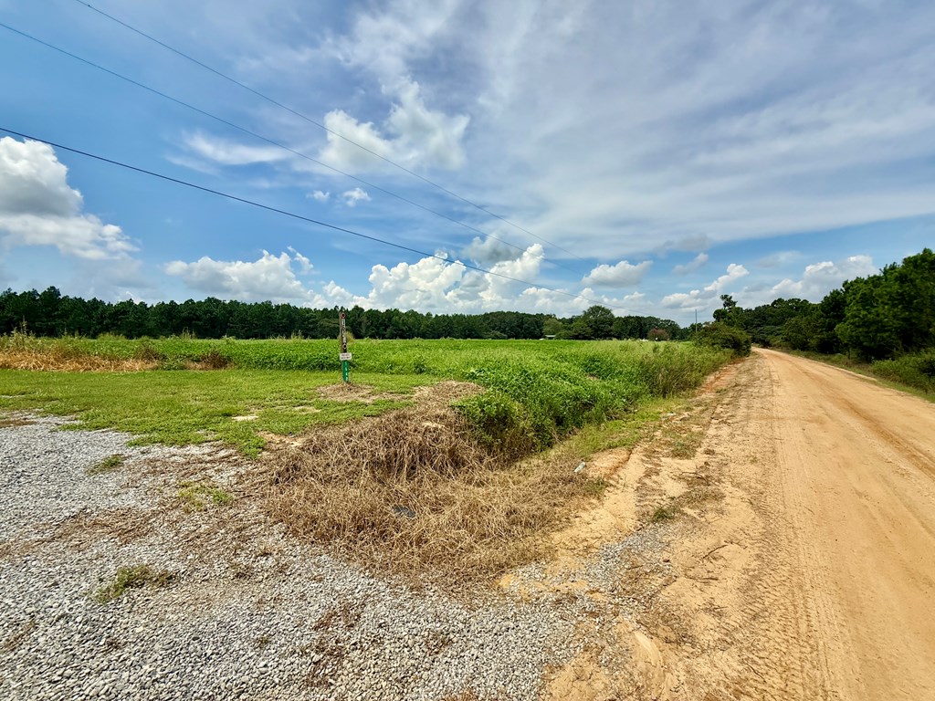 1640 Lafollette Road Slocomb, AL 36375 - Photo 39 of 64