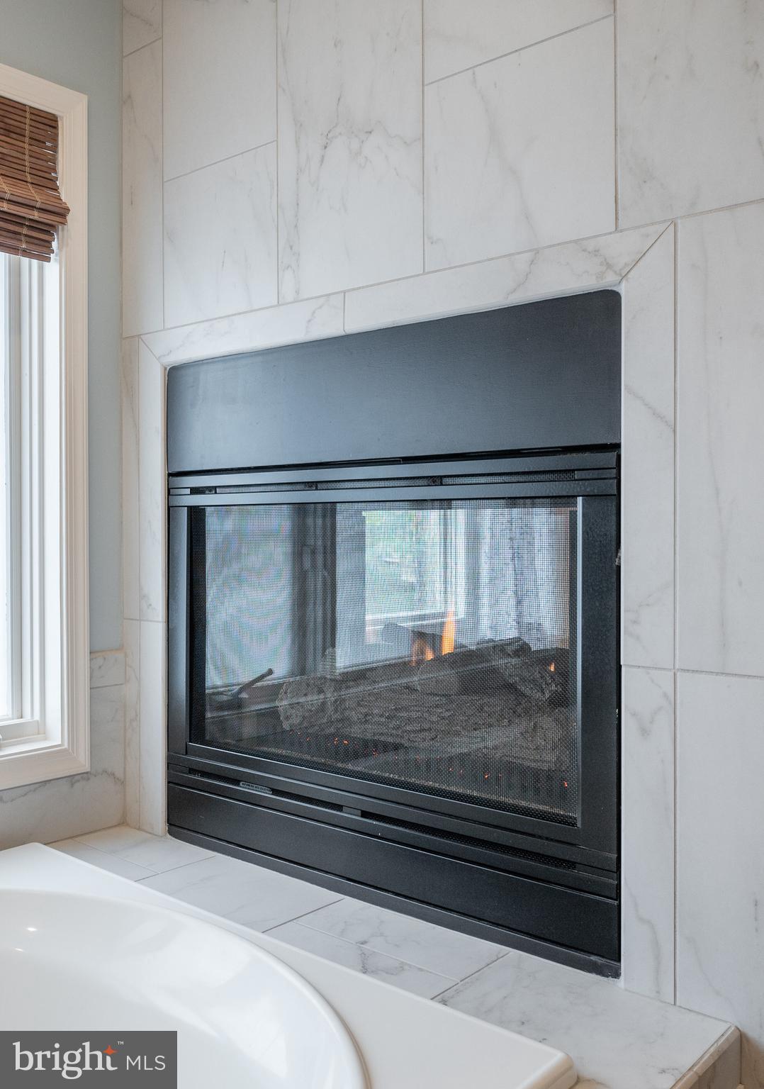 11513 Hemingway Drive Reston, VA 20194 - Photo 27 of 54 Master Suite/Spa