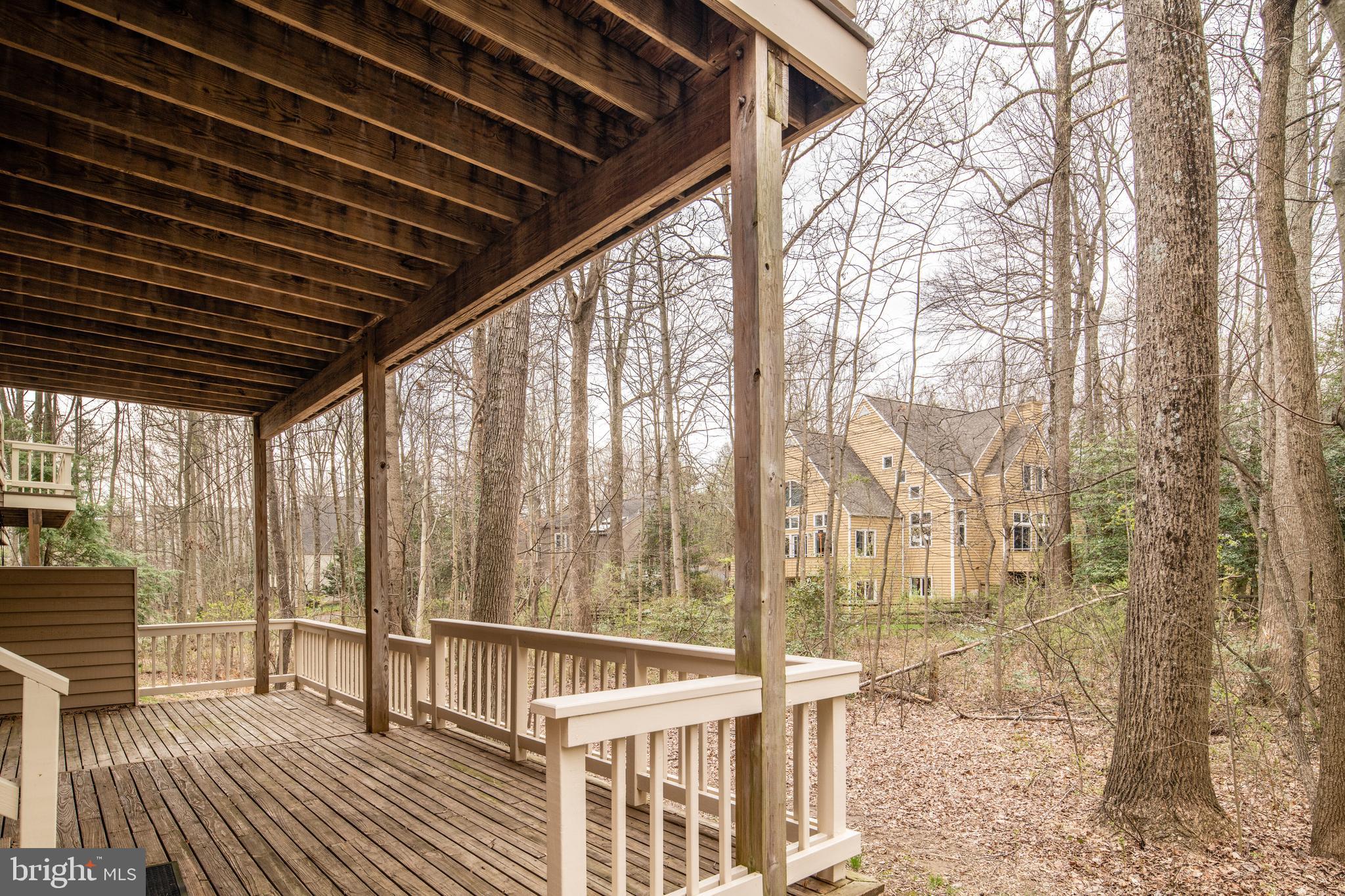 11513 Hemingway Drive Reston, VA 20194 - Photo 53 of 54 Beautiful woods scenery in the back