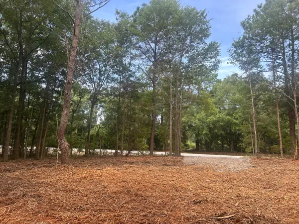$69,000 | 2 Francis Marion Boulevard, Summerton, SC 29148