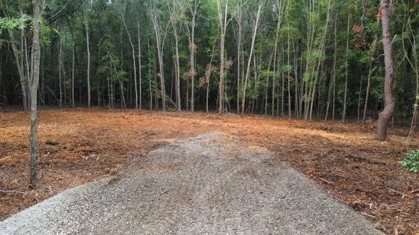$69,000 | 2 Francis Marion Boulevard, Summerton, SC 29148