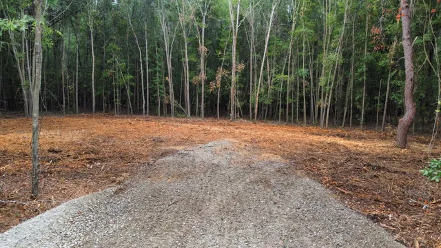 $69,000 | 2 Francis Marion Boulevard, Summerton, SC 29148