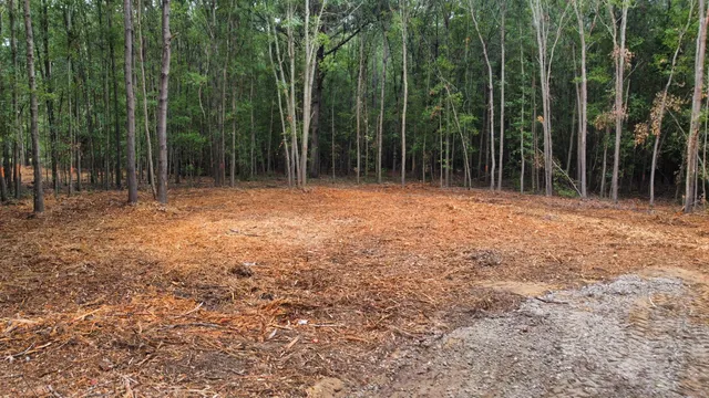 $69,000 | 2 Francis Marion Boulevard, Summerton, SC 29148